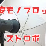 Neewerの格安モノブロックストロボをα7ⅲで使ってみた【Neewerビジョン4】